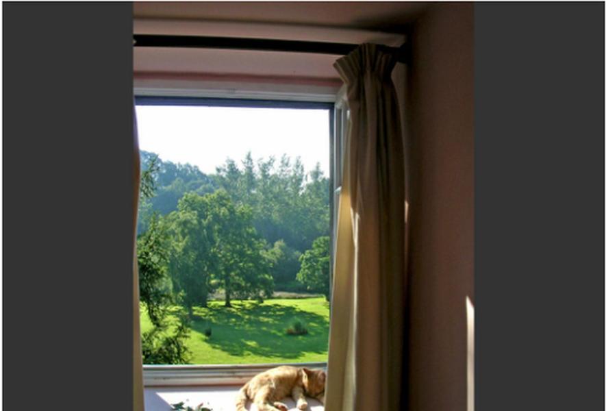 Chambres d'Hôtes la Baudrière Livaie Quarto foto